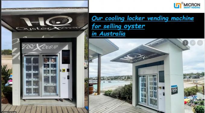 Distributeur automatique de refroidissement de casier de viande surgelée vendant l'huître en Australie