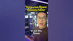 Nous avons une solution pour stimuler votre commerce de fleurs, le distributeur automatique de fleurs fraîches.