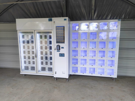 Vendeuse de casiers pratique et de haute technologie pour le centre commercial 40 casiers personnalisables
