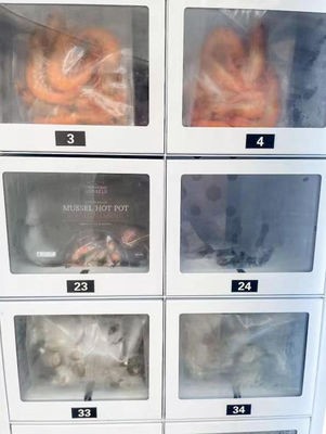 Distributeur automatique de fruits de mer efficace au R290 pour produits frais