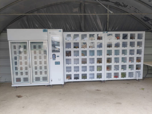Max.40 Vendeuse de variétés de marchandises avec 1 contrôleur et 8 machines de grande capacité